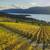3bd 2.5ba, In Kelowna, Lounge 1 thumbnail