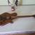 Brand new EVH Wolfgang Black Walnut guitar 3 thumbnail