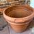Large Terra Cotta Pot 2 thumbnail