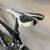 Specialized tarmac expert large shimano uptegra 14 thumbnail