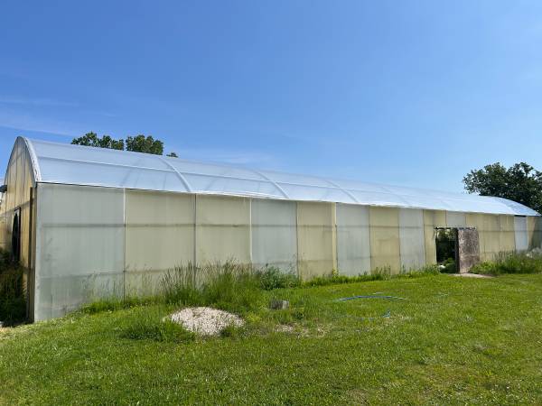 Commercial Greenhouses for Sale 1