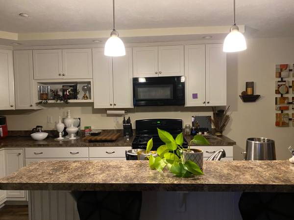 $1,500 / 1br - Room for rent in beautiful, new townhome (sandown)63986776714371122