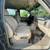 2001 GMC Yukon XL 2500 11 thumbnail