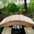 Koi pond Bridges, Land scaping Garden bridges 19 thumbnail