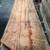 Walnut, Cherry Live Edge Slabs Lumber, Oak, Maple, Hickory, Ash 18 thumbnail