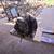 💲★2013-2015 FORD FUSION - AUTOMATIC TRANSMISSION - #M19487★💲 5 thumbnail