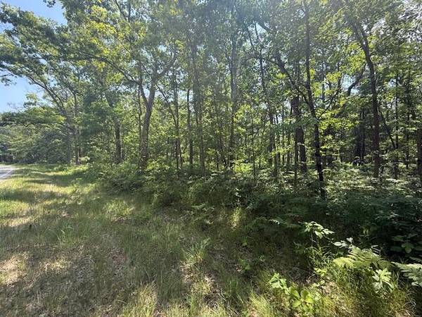 $69,900 10 Acres Vacant Land in Bitely! Build your Dream Cabin! MLS#25034854 (Bitely)64037724309378124