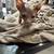 Hairless kittens 2 thumbnail