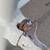 VINTAGE WHITE CAST IRON BED ON WHEELS HOLDS 53x72 4 thumbnail