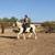 Gypsy Vanner 8 thumbnail