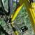 TREK MOUNTAIN BIKE 830 21 speed bicycle made in the USA 4 thumbnail