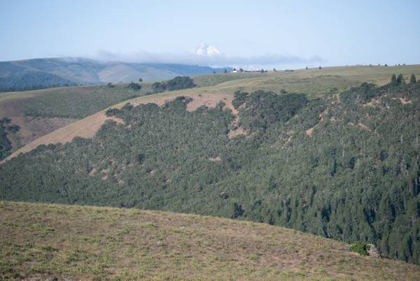 $99,000 72.23 Acres | Creek Frontage | Private Escape63831396732929123