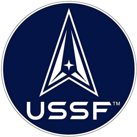 U.S. Space Force Embroidered 10" Back Patch - NEW 1