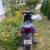 Yamaha Zuma 50cc moped 7 thumbnail