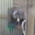 horse hay feeder wall mount 6 thumbnail