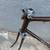 Vintage Schwinn Continental Road Bike frameset 58 cm Men's 10 thumbnail