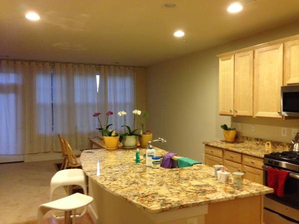 $900 / 4br - 450ft2 - Bedroom #2 is Available for Rent at the Crown Community (Gaithersburg)63779126816003121