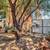 1 Bedroom Rental Condo in Tucson 17 thumbnail