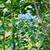 Lot 903, easy build site, gently slopes to a stream! 6 thumbnail