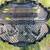 Darton Compound Bow - Complete Hunt package 1 thumbnail