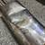 BMW E30 performance muffler 4 thumbnail