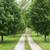 73± Acres with Executive Home, Barns, and Rural Paradise 5 thumbnail