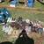 10-4 YARD SALE DOLLAR DAY + FILL A BAG CLOTHES DEAL!!! 393 Rathburn Rd!! Dollar  12 thumbnail