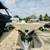 2011 Boston Whaler 170 Sport 2 thumbnail