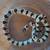 Thayeri / Leonis / Variable Kingsnake group 2 thumbnail