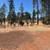 Price Reduced! 0.23 Acre Lot in Lower Magalia in a Peaceful Setting 2 thumbnail