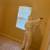 🏝️Painting Texture Drywall Demo Popcorn Removal Flooring Remodels🏝️ 1 thumbnail