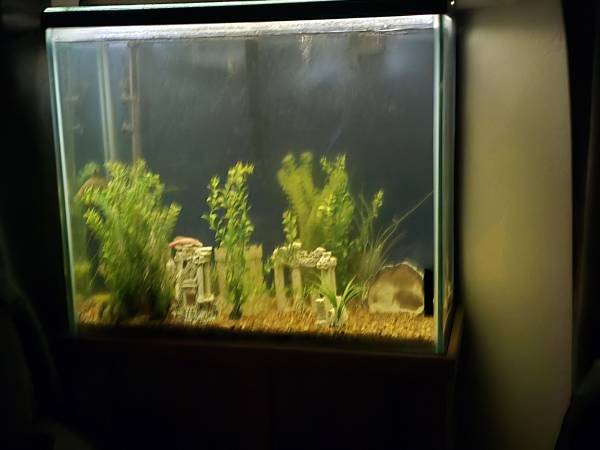 Aquarium's for sale (Boulder City)63860183619073121