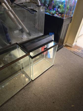 Masny  fish tank's and reptile tank's available (Lynn)63840149837059121