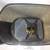 Automatic Pet Feeder 2 thumbnail