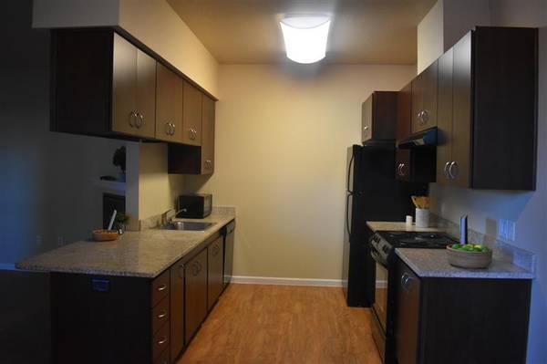 $1,755 / 2br - 1006ft2 - Does your office know your pets names? Ours will! 🐶🐱 (Vancouver)63777362926595124