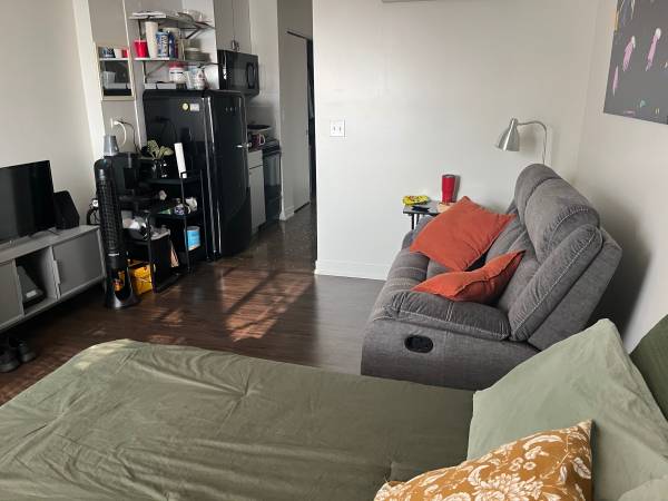 $1,300 / 315ft2 - Amazing furnished Studio in Uptown Chicago Lawrence House for sublet (Uptown)63918533531778124