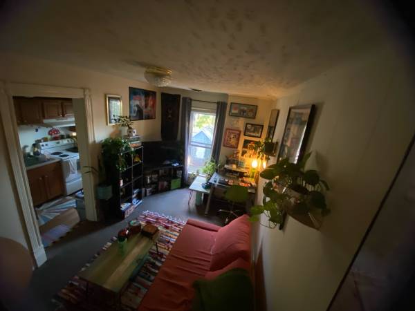 $900 / 1br - 1 BDR Apt. For rent!! (Salisbury)63839298739073123