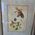 Fabrice De Villeneuve Wild Hawthorinder Apple/Bigarreau Cherry Print! 4 thumbnail