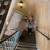 2 Movers Plus Truck. Best Moving Price Orange County (949-554-8180) 9 thumbnail