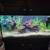 125 gallon aquarium 1 thumbnail