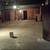 Retail space stroge space for rent 4 thumbnail
