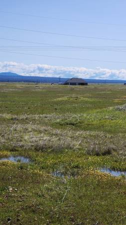 $99,000 40 Acres for sale (Millville)63972528928131124