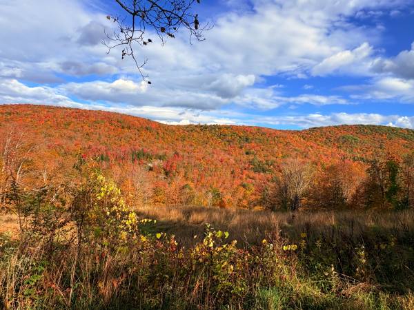 10-Acre Parcel in Central Vermont 1