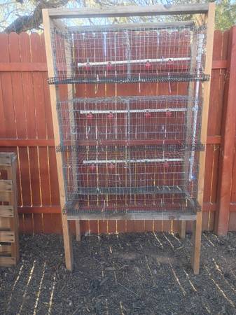 Quail cage 1