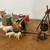 Playmobil Nativity sets 3996/ 3365 Manger scene and 3 Wisemen 9 thumbnail