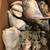 Box of Sea Shells! 8 thumbnail