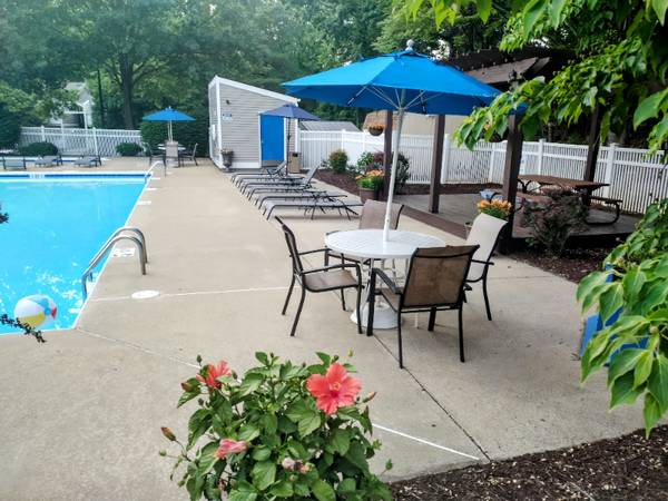 $921.00 / 1br - 672ft2 - Cozy 1 Bed/1 Bath Apartment in Lynchburg, VA - Available 09/23 - $92163851969597699120
