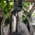 Oreck XL Intellashield Bagged Vacuum Cleaner USA Warranty 7 thumbnail
