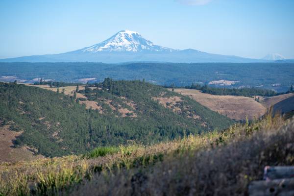 $99,000 72.23 Acres | Creek Frontage | Private Escape63831396732929122