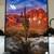 RARE FINDS WAREHOUSE WALL ART, PAINTINGS 9 thumbnail